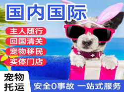 阿尔山航空空运国际宠物托运 【国